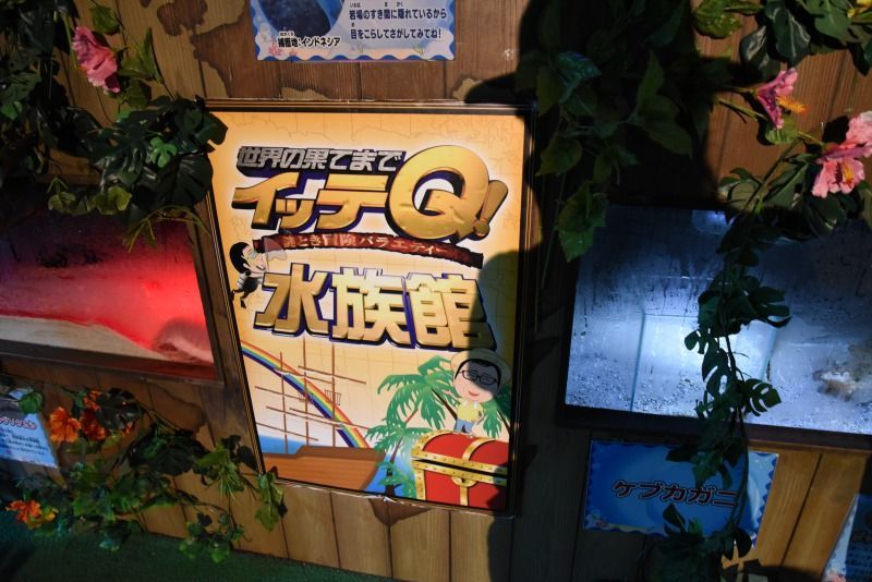 八景島シーパラダイス 今年はももクロ おそ松さん 海のパンダ イッテqと盛りだくさん ママはずぼら ファミリーキャンプを応援するブログ