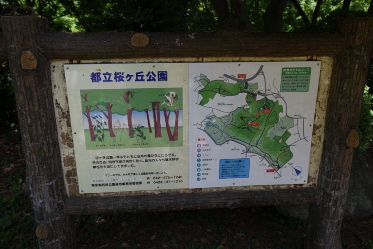 無料で楽しめる都立公園 都立桜ヶ岡公園はこんなところ キレイな遊具と自然散策 ママはずぼら ファミリーキャンプを応援するブログ