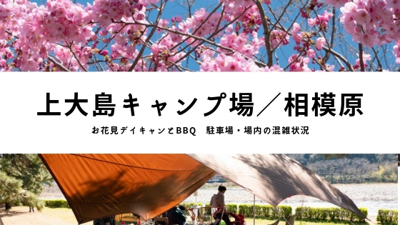 穴場 上大島キャンプ場でお花見デイキャンプ 相模川河川敷沿い ママはずぼら ファミリーキャンプを応援するブログ