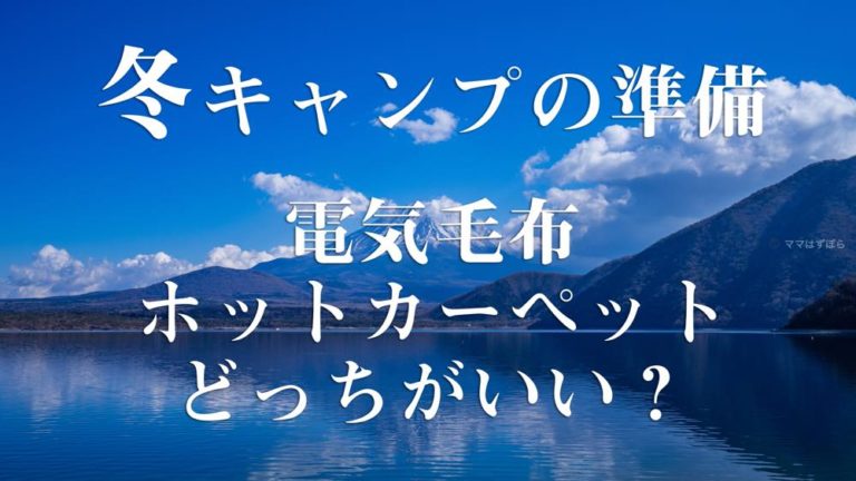 冬キャンプの準備 どれがいい 電気毛布とホットカーペット ファンヒーター 電気系暖房器具の選び方